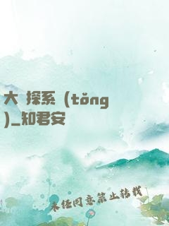大偵探系統(tǒng)