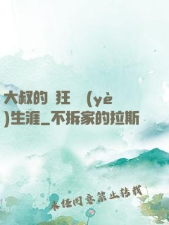 大叔的瘋狂職業(yè)生涯