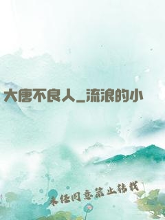 大唐不良人