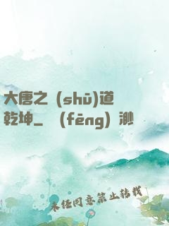 大唐之書(shū)道乾坤