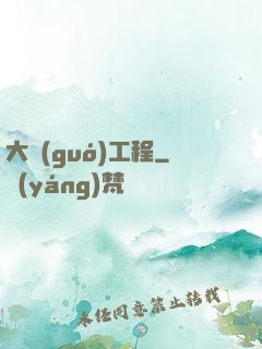 大國(guó)工程