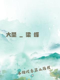 大圣傳