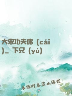 大宋功夫庸財(cái)