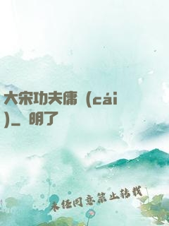 大宋功夫庸財(cái)