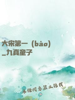 大宋第一報(bào)
