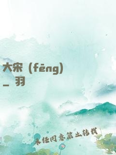 大宋風(fēng)華