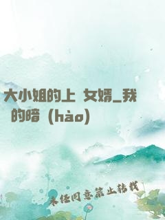 大小姐的上門女婿
