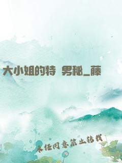大小姐的特種男秘