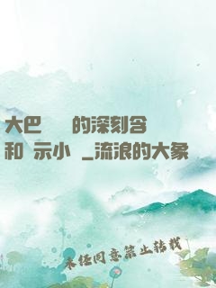 大巴車輪軒的深刻含義和啟示小說