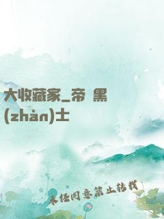 大收藏家