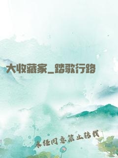 大收藏家