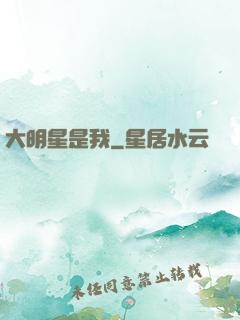 大明星是我