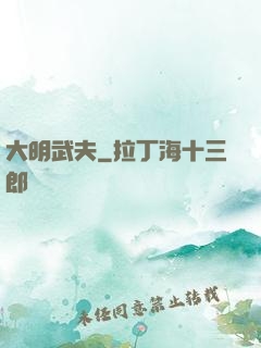 大明武夫