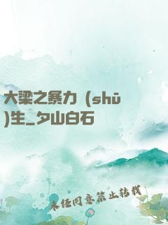 大梁之暴力書(shū)生