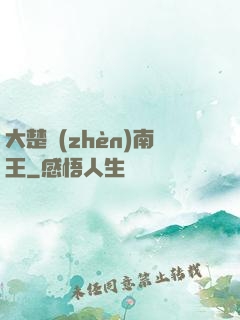 大楚鎮(zhèn)南王