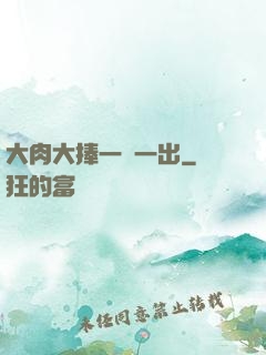 大肉大捧一進一出