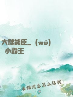 大魏能臣
