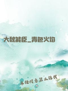 大魏能臣