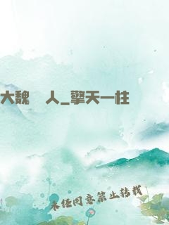 大魏讀書人