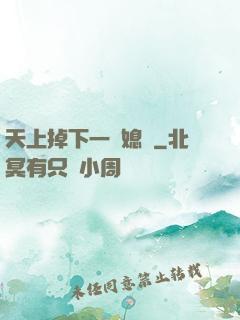 天上掉下一個媳婦