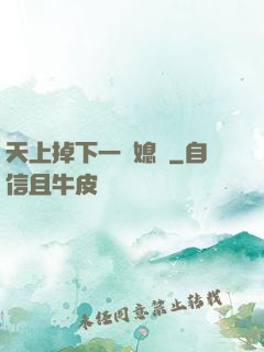 天上掉下一個媳婦