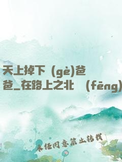 天上掉下個(gè)爸爸