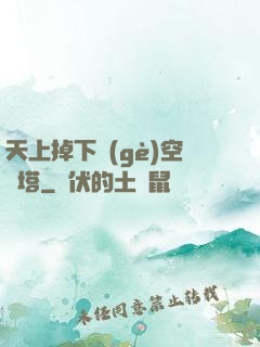 天上掉下個(gè)空間塔
