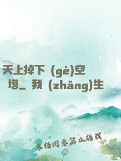 天上掉下個(gè)空間塔