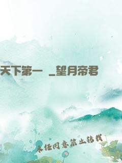 天下第一俠