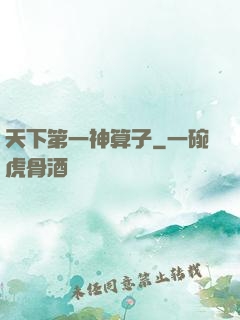天下第一神算子