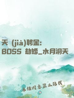 天價(jià)聘金：BOSS來劫婚