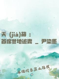 天價(jià)萌寶：首席爹地追妻記