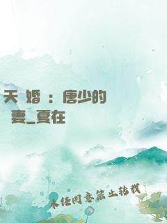 天價婚愛：唐少的終極寵妻