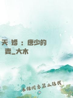 天價婚愛：唐少的終極寵妻