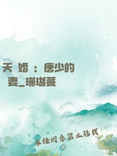 天價婚愛：唐少的終極寵妻