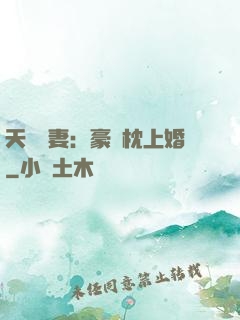 天價棄妻：豪門枕上婚