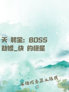 天價聘金：BOSS來劫婚