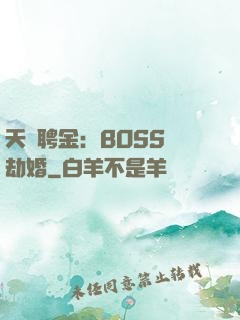 天價聘金：BOSS來劫婚