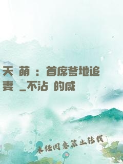 天價萌寶：首席爹地追妻記
