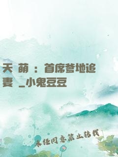 天價萌寶：首席爹地追妻記