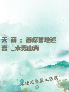 天價萌寶：首席爹地追妻記