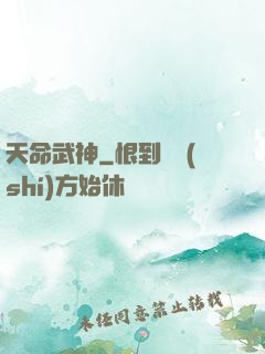 天命武神