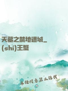 天墓之禁地迷城