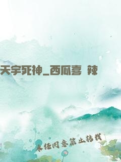 天宇死神
