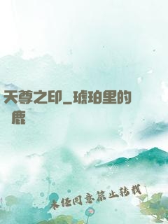 天尊之印