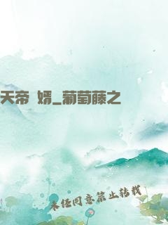 天帝龍婿