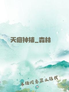 天庭神捕