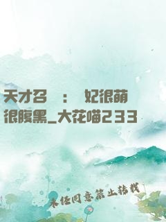 天才召喚師：寵妃很萌很腹黑
