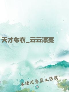 天才布衣