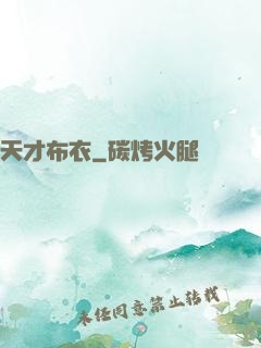天才布衣